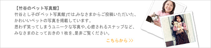 皆様から投稿頂いたペット写真を掲載中！