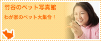 ペット写真館