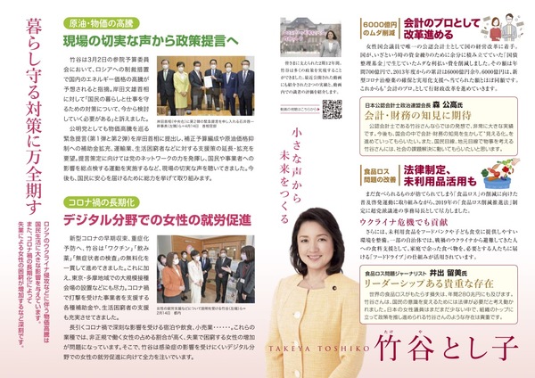 竹谷とし子 ニュースvol2裏面.jpg